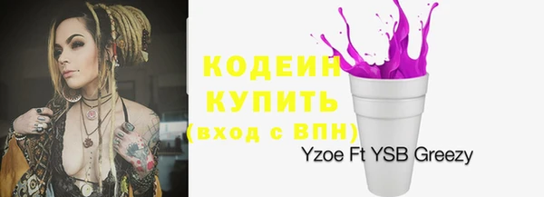 шишки Пересвет