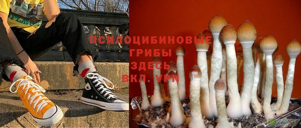 шишки Пересвет