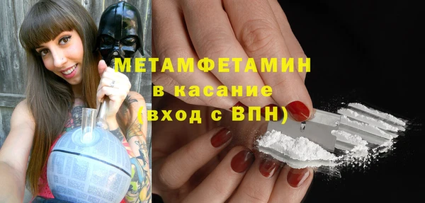 шишки Пересвет
