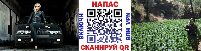 нарко площадка официальный сайт  Терек  Шишки марихуана Amnesia 